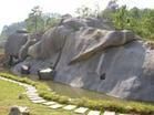 三明格氏栲國家森林公園圖片