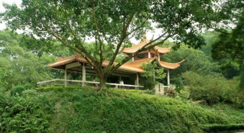 深圳仙湖植物園圖片