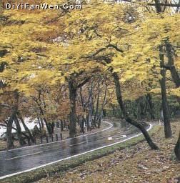 上窯森林公園圖片