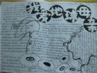 國小生手抄報版面設計圖：全球水資源