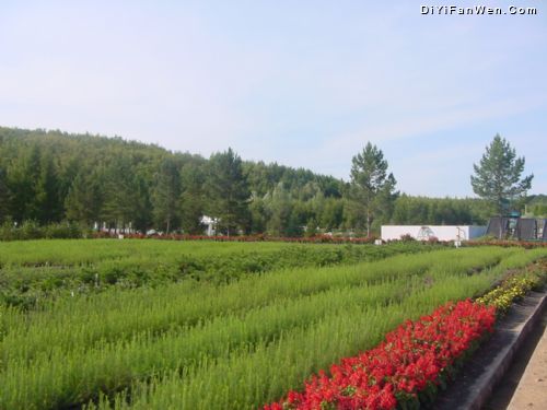 大興安嶺圖片