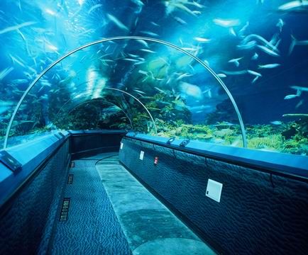 上海海洋水族館圖片