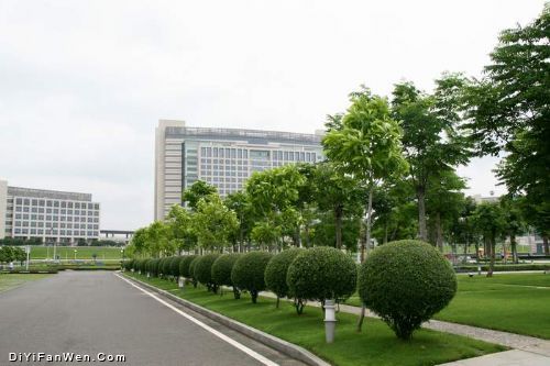 美麗東菀圖片