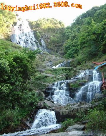 廣西大容山森林公園圖片
