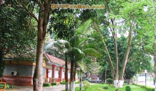 南寧良鳳江國家森林公園圖片
