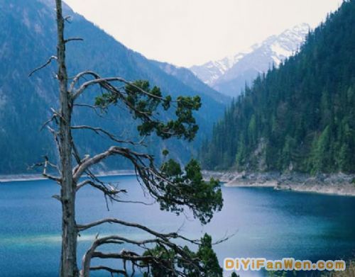 峨眉山圖片