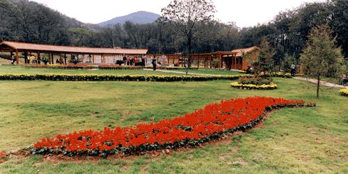 泉山國家森林公園圖片