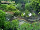 順德清暉園