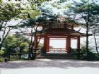 南山植物園