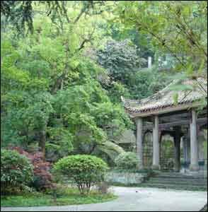 北泉風景區圖片