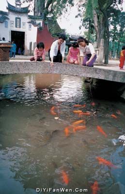 鯉魚溪圖片