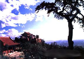 景忠山旅遊區圖片
