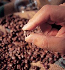 如何挑選咖啡豆