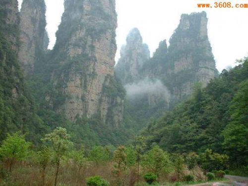 張家界土家風情園風景圖片