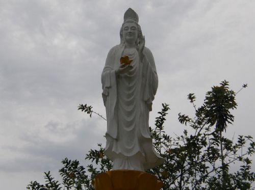 越南圖片