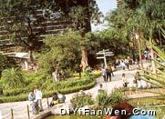 香港動植物公園圖片