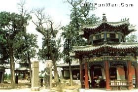 羑里城遺址圖片