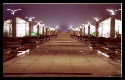 上海世紀公園圖片