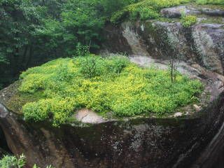 天華山圖片