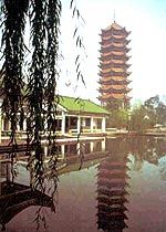 枇杷山公園圖片