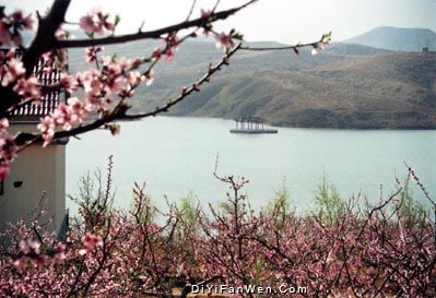 桃花島圖片