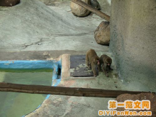 莫斯科動物園圖片