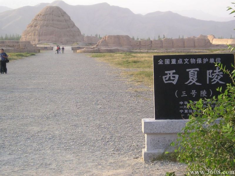 西夏王陵圖片