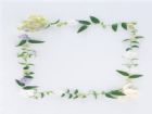 黑板報花邊：綠葉花邊