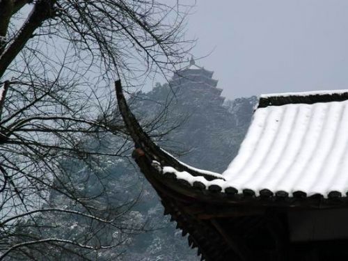 冬日的青城山圖片