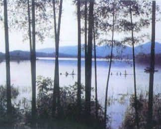陸水湖圖片