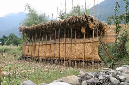 西藏察隅圖片