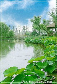 丹桂園圖片