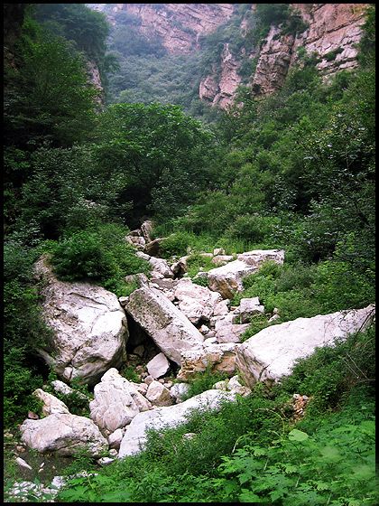 九龍潭自然風景圖片