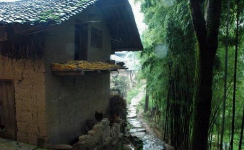 湖北魚木寨圖片
