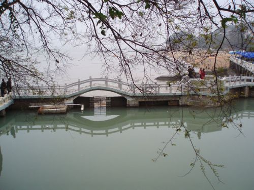 福建菽莊花園圖片