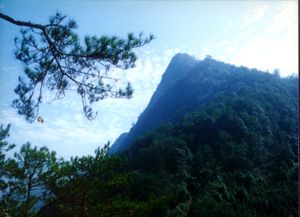 虎頭山圖片