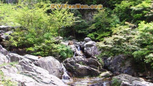 黃山猴谷圖片
