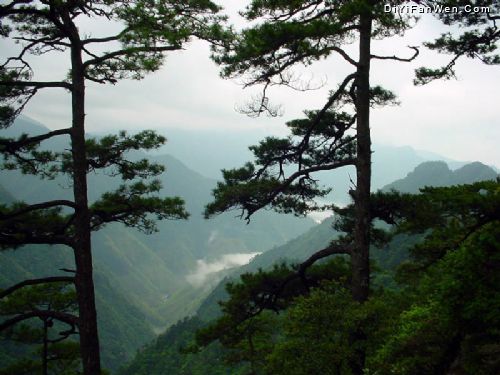 鳳陽山圖片
