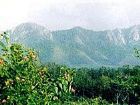 毛公山