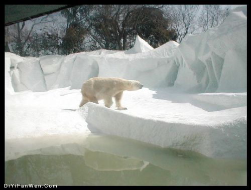 上海動物園圖片