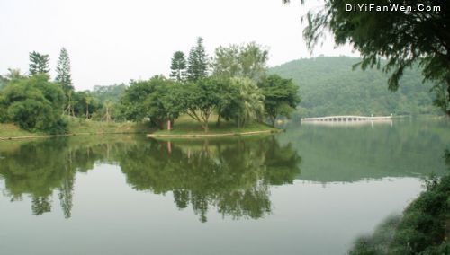 深圳仙湖植物園圖片