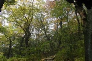 天平山圖片