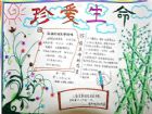 珍惜生命的手抄報：事事處處想到“安全”