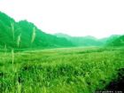 浙江大明山