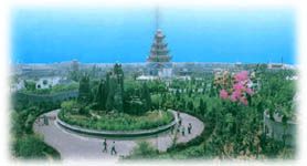京華園圖片