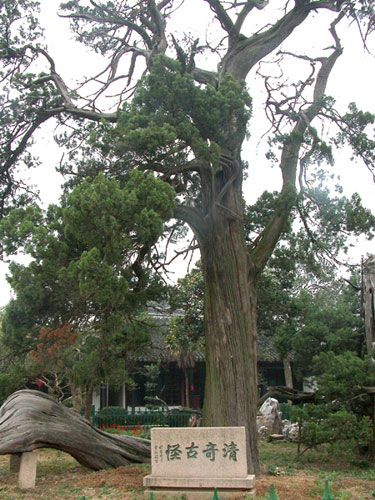 光福圖片