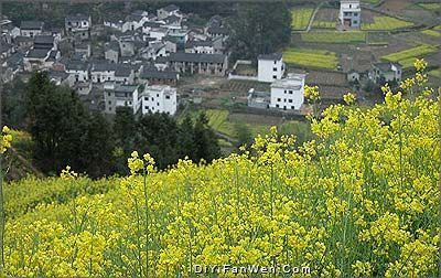 石潭村圖片
