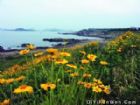 田橫島