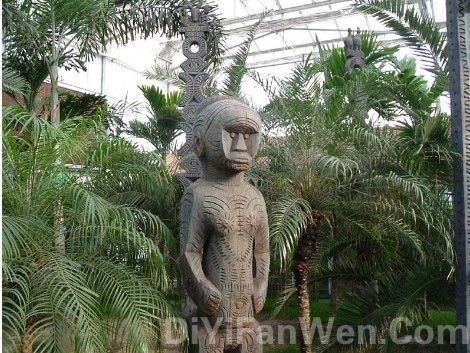 天津熱帶植物觀光園圖片