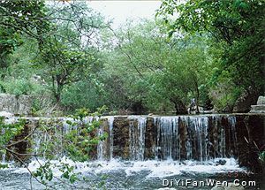 甘山森林公園圖片